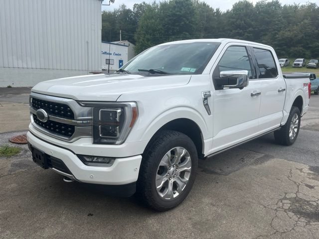 Used 2021 Ford F150 Platinum w/ Equipment Group 701A High AWD/4WD image 10