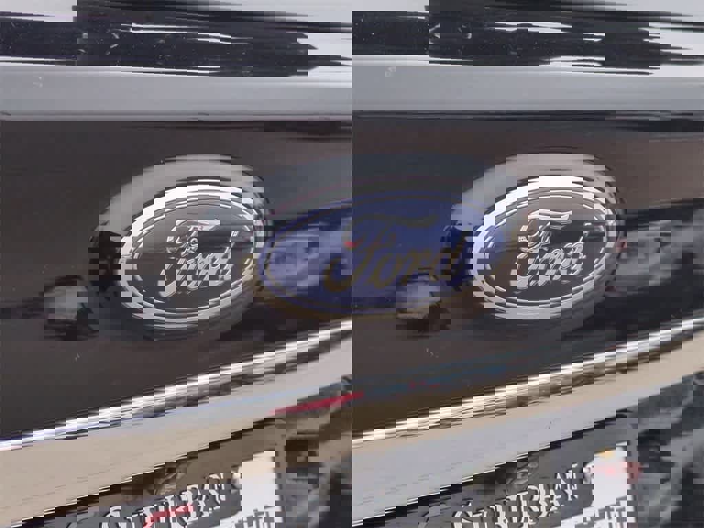 Used 2019 Ford Edge SEL w/ Equipment Group 201A image 4