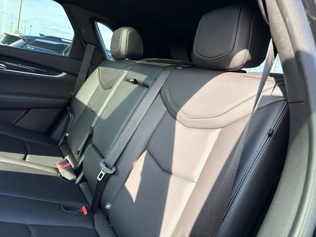 Used 2023 Cadillac XT5 Premium Luxury AWD/4WD image 14