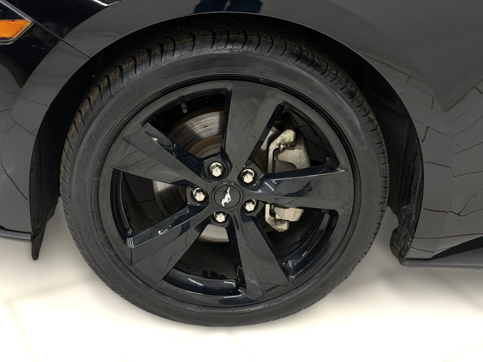 Used 2022 Ford Mustang Premium w/ Equipment Group 201A image 10