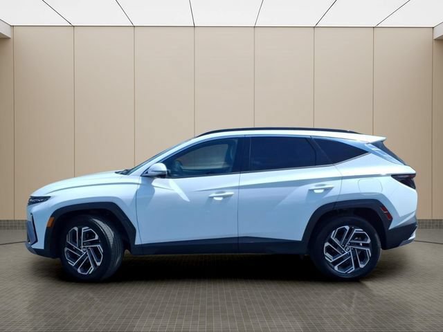Used 2025 Hyundai Tucson Limited AWD/4WD image 14