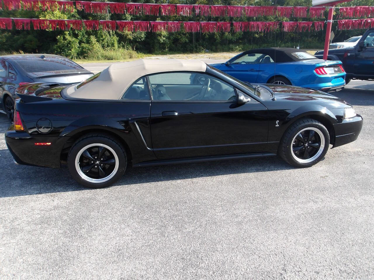 Used 1999 Ford Mustang Cobra image 4