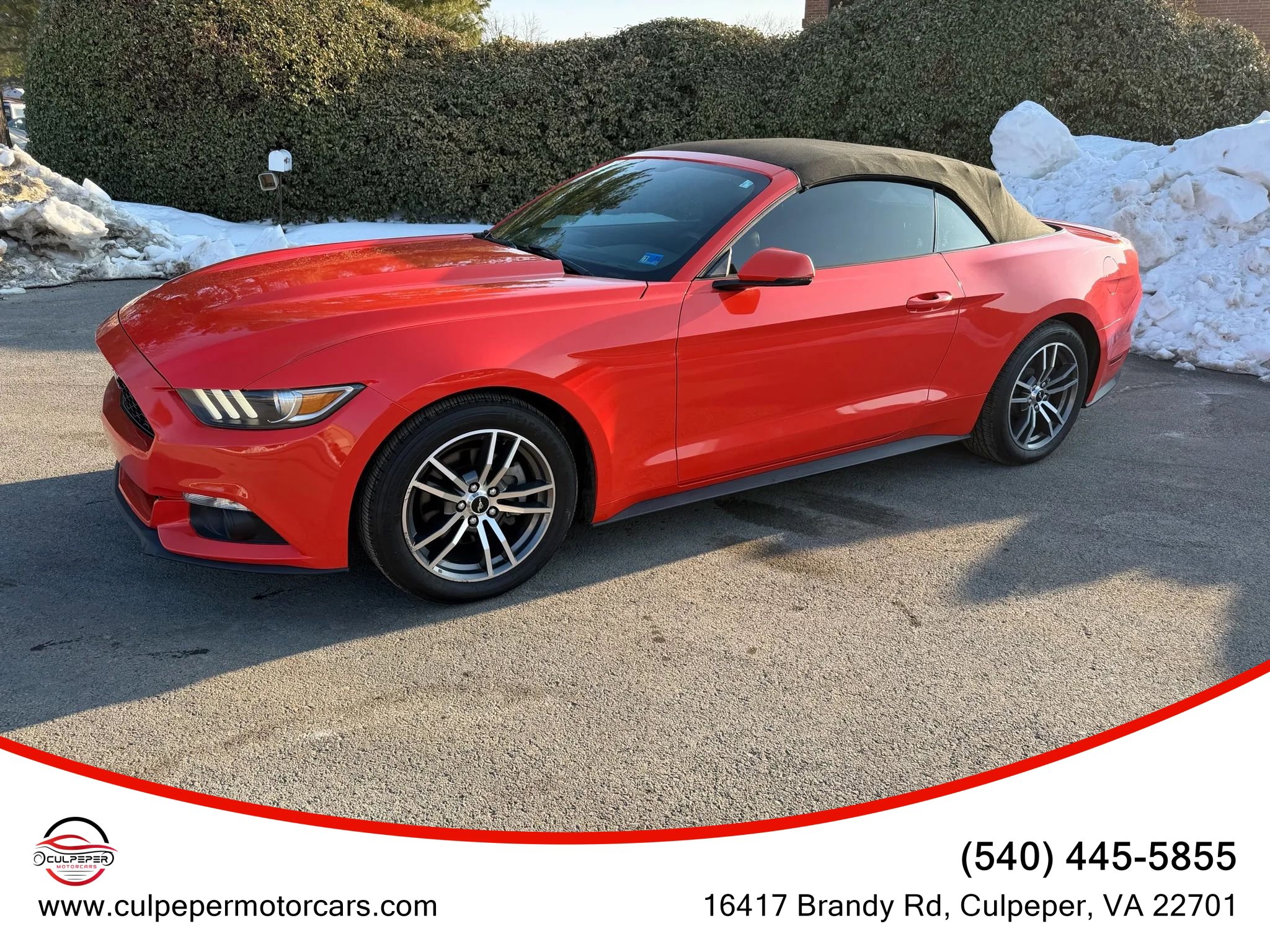 Used 2015 Ford Mustang Premium image 2