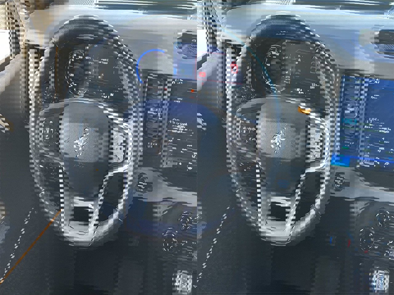 Certified 2022 Ford Bronco Badlands image 14