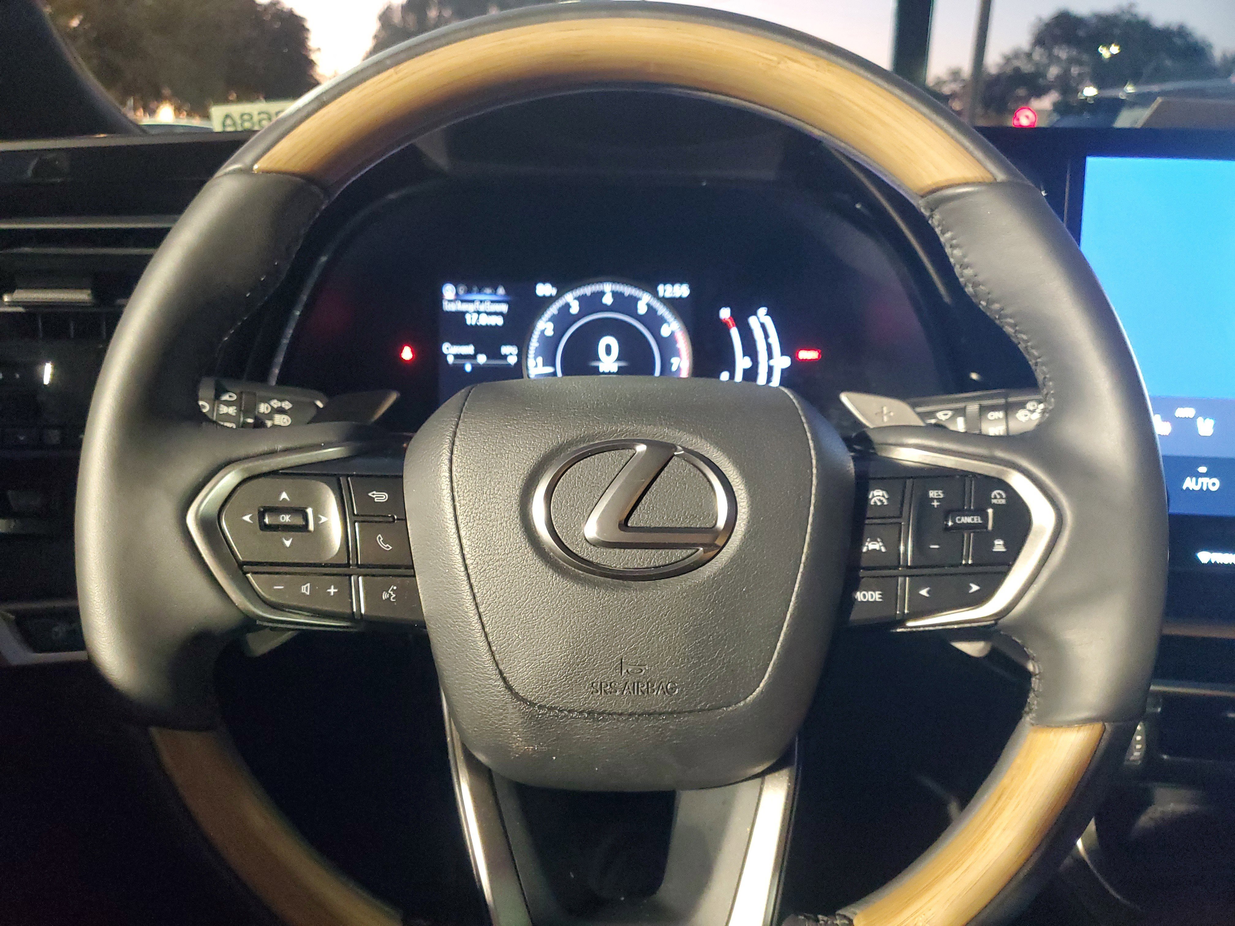 Used 2023 Lexus RX 350 Premium w/ Cold Area Package image 19