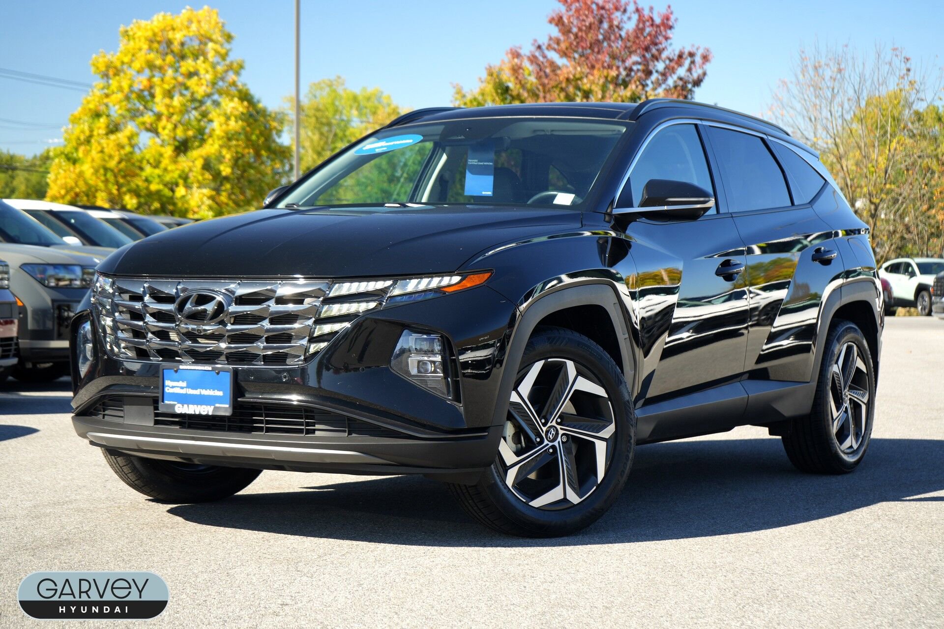 Certified 2023 Hyundai Tucson Limited image 1