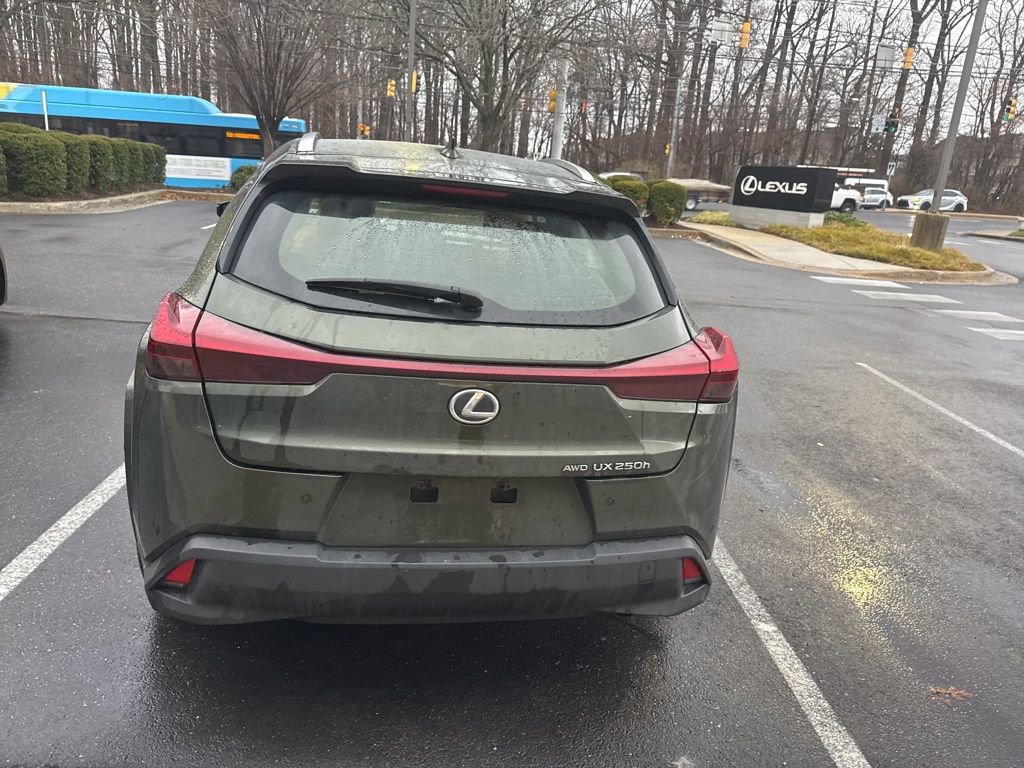 Used 2023 Lexus UX 250h 250h Premium w/ Accessory Package (Z2) image 6
