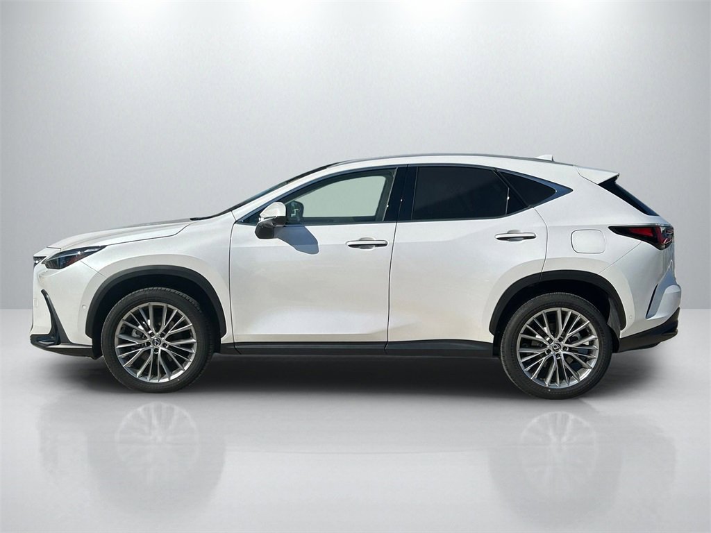 Used 2025 Lexus NX 300h AWD w/ Luxury Package image 8