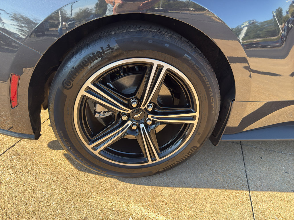 Used 2024 Ford Mustang Coupe image 6