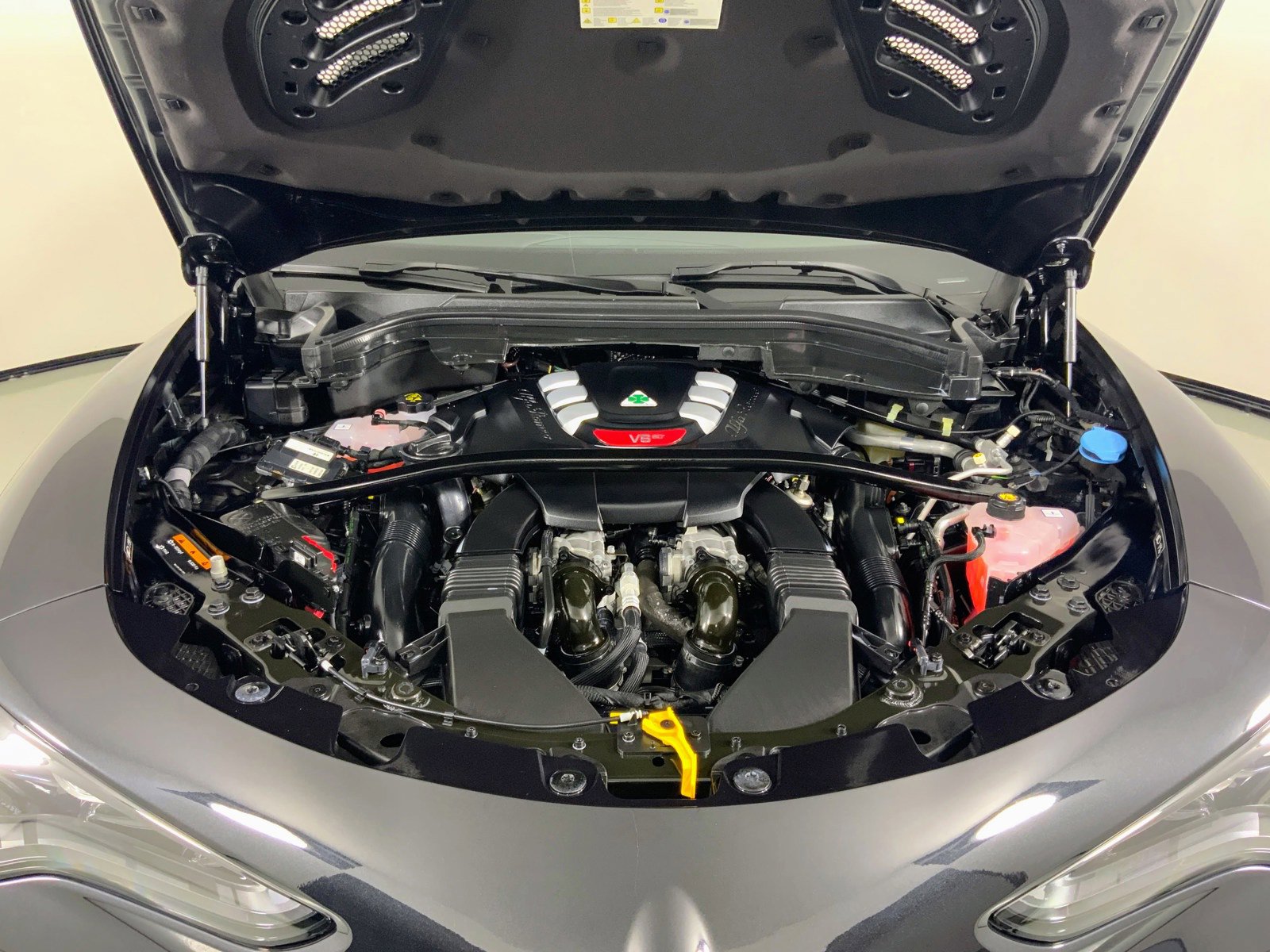 New 2024 Alfa Romeo Stelvio Quadrifoglio image 8