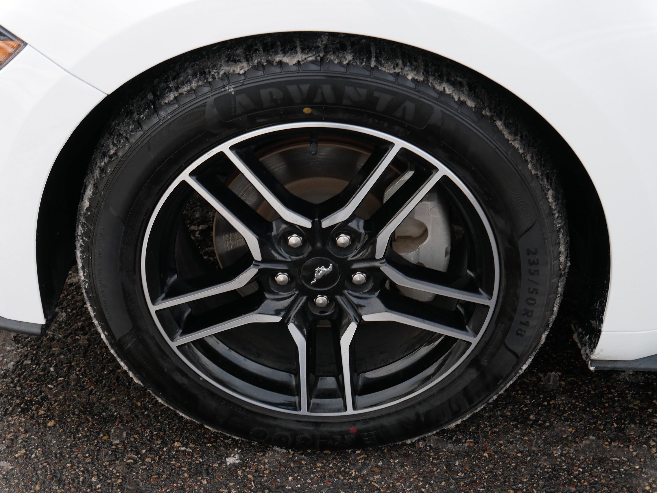 Used 2023 Ford Mustang Premium RWD image 15