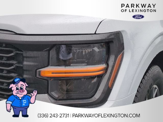 Used 2025 Ford F150 STX w/ Equipment Group 200A RWD image 9