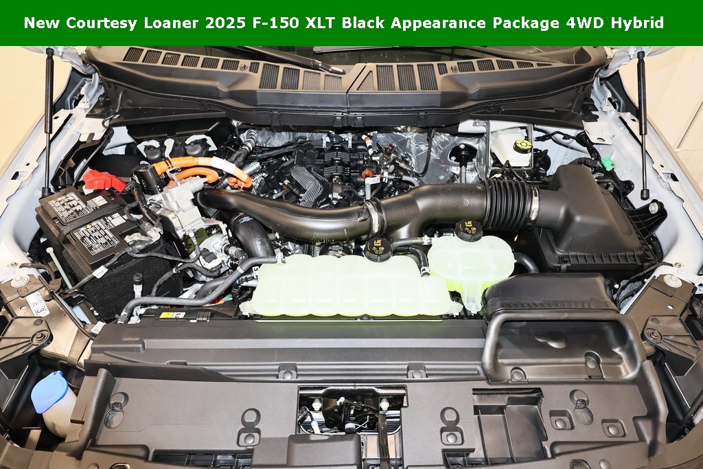 New 2025 Ford F150 XLT w/ Equipment Group 302A MID image 32