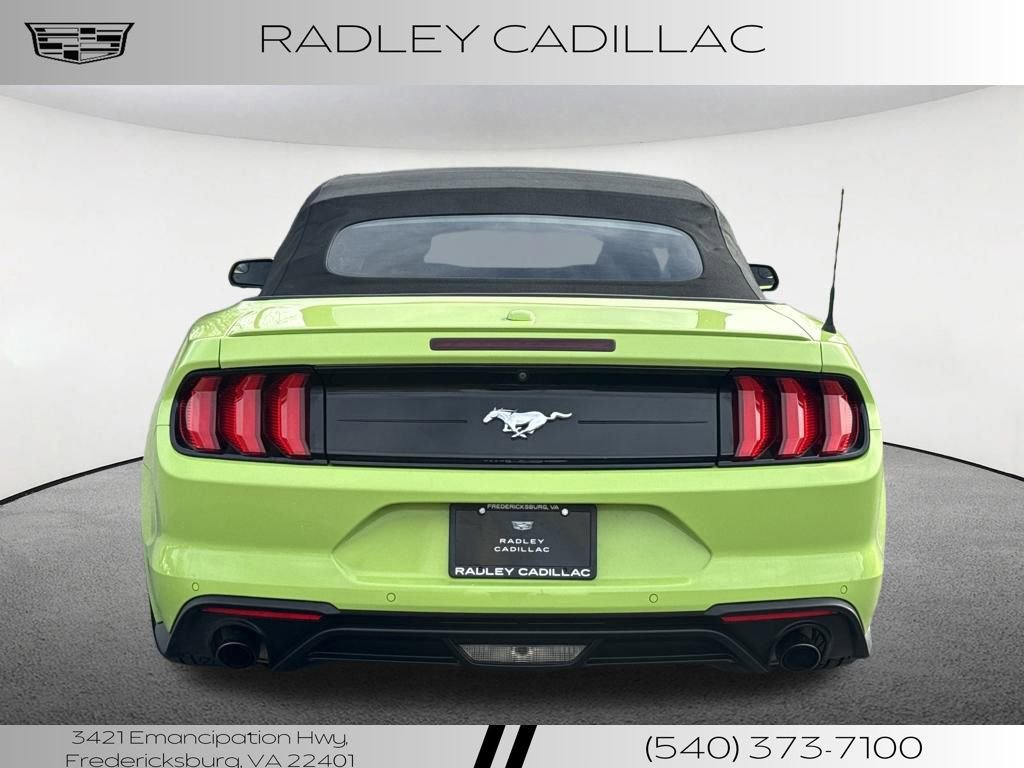 Used 2020 Ford Mustang Premium image 4
