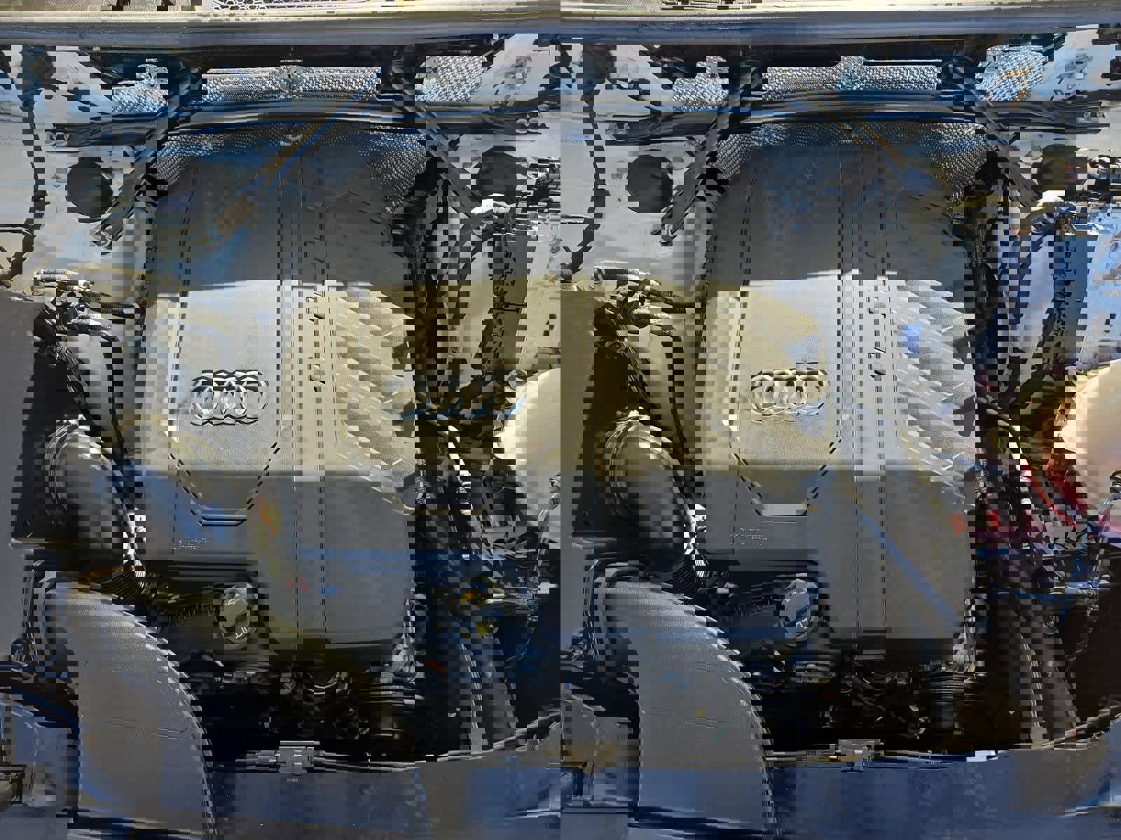 Used 2023 Audi Q5 2.0T Premium Plus image 13