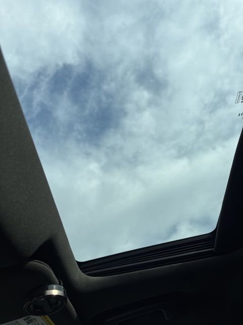 Used 2015 Ford Taurus SHO w/ Equipment Group 401A image 8