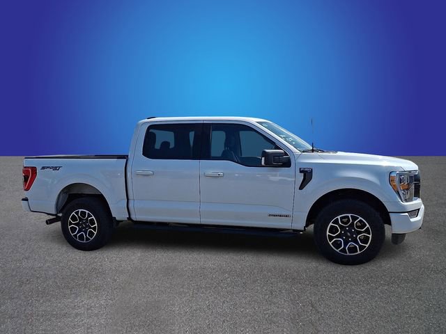 Used 2023 Ford F150 XLT w/ Equipment Group 302A High AWD/4WD image 2