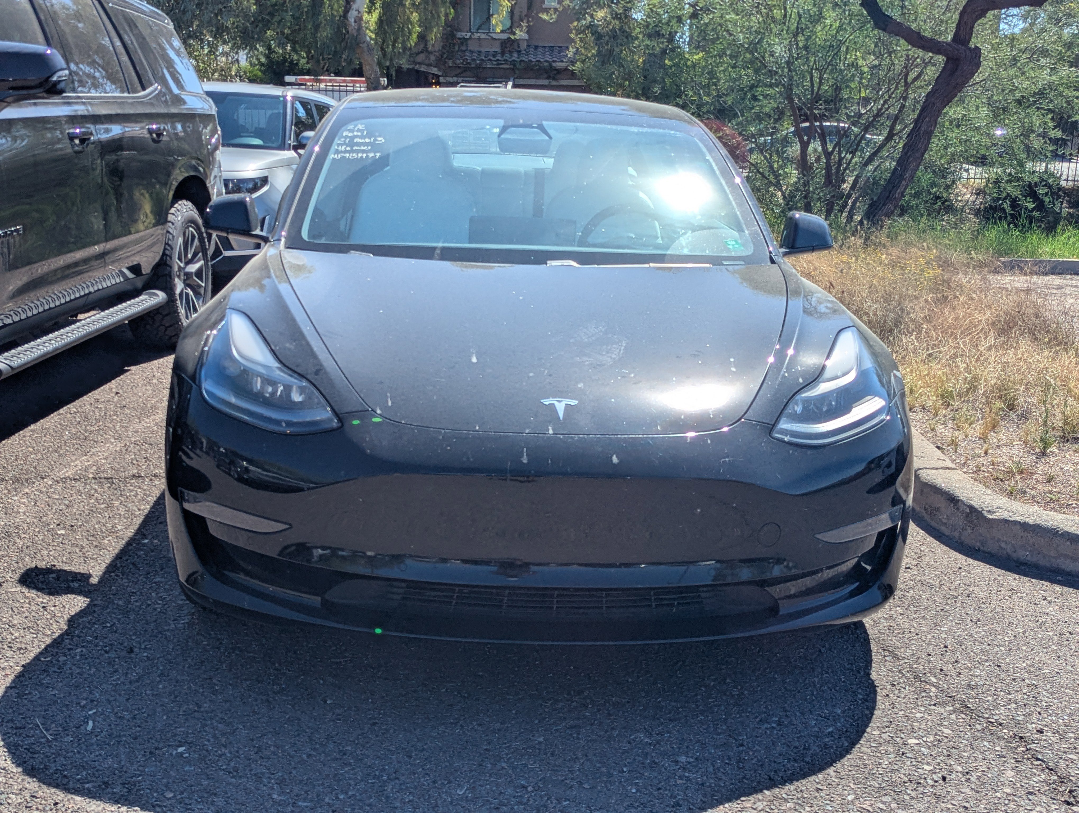 Used 2021 Tesla Model 3 Standard Range Plus image 5