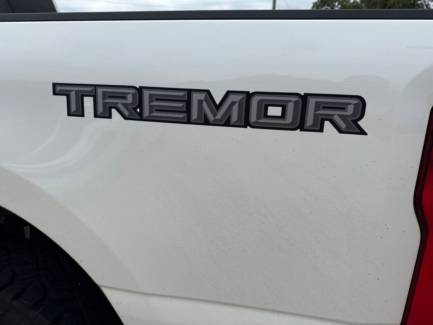 Used 2024 Ford F250 Platinum w/ Tremor Off-Road Package AWD/4WD image 8