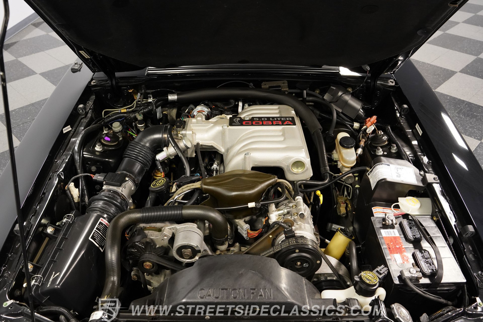 Used 1993 Ford Mustang Cobra image 3