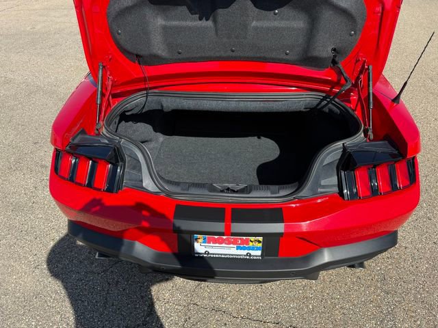 Certified 2019 Ford Mustang Premium w/ Equipment Group 201A RWD image 16