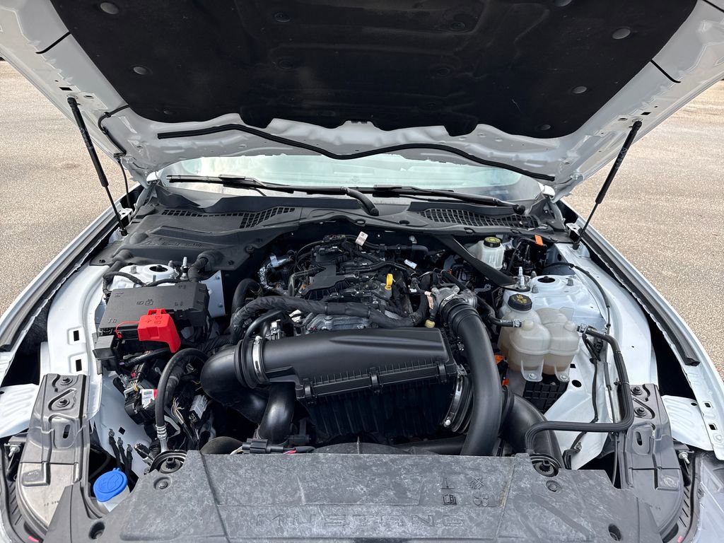 Used 2024 Ford Mustang Premium image 29