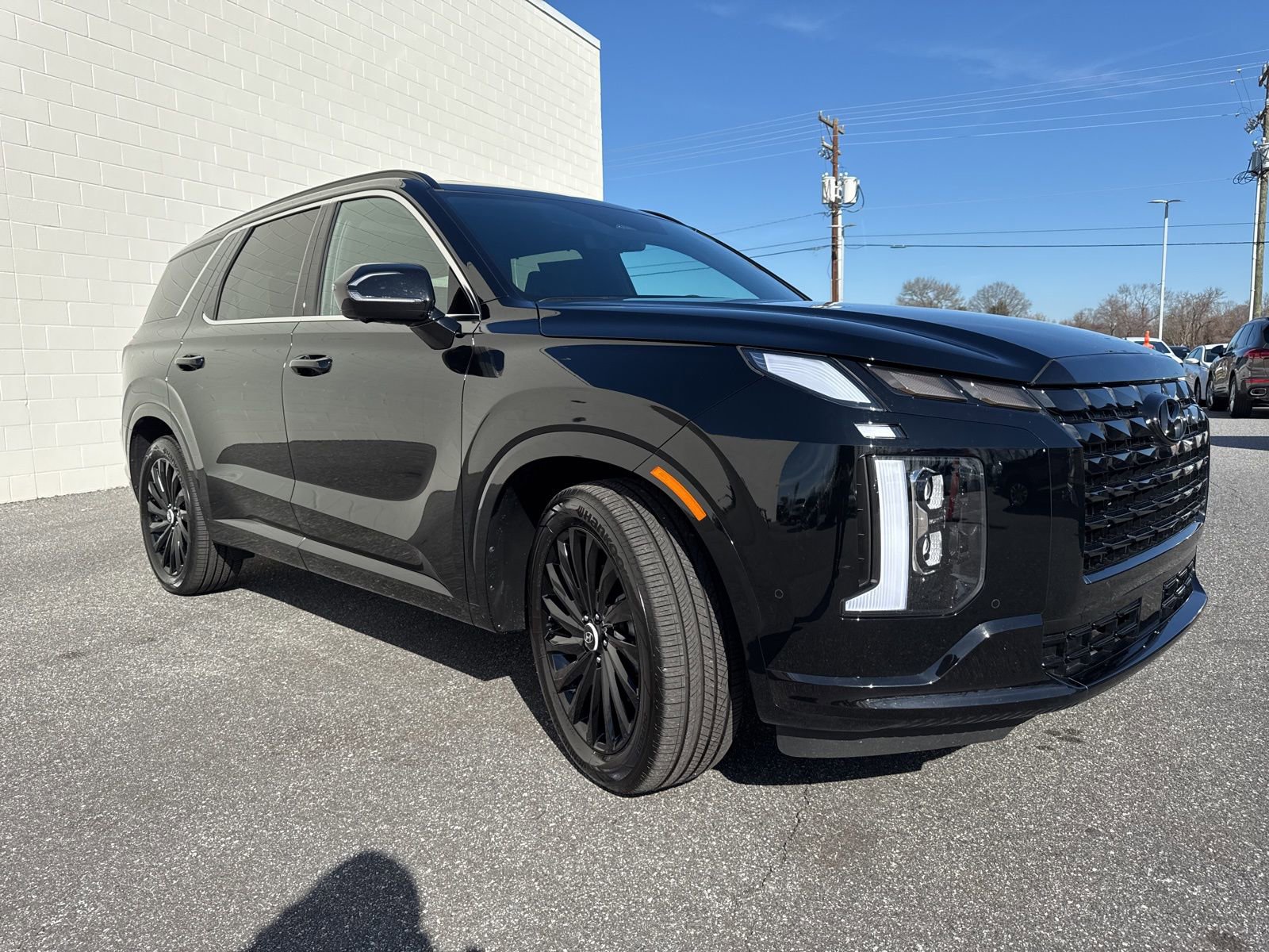 Used 2025 Hyundai Palisade Calligraphy image 3