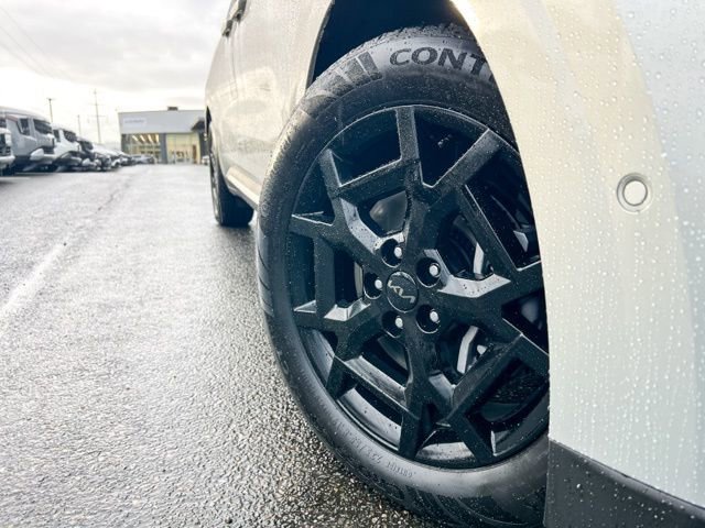 New 2026 Kia Carnival SX Prestige image 2