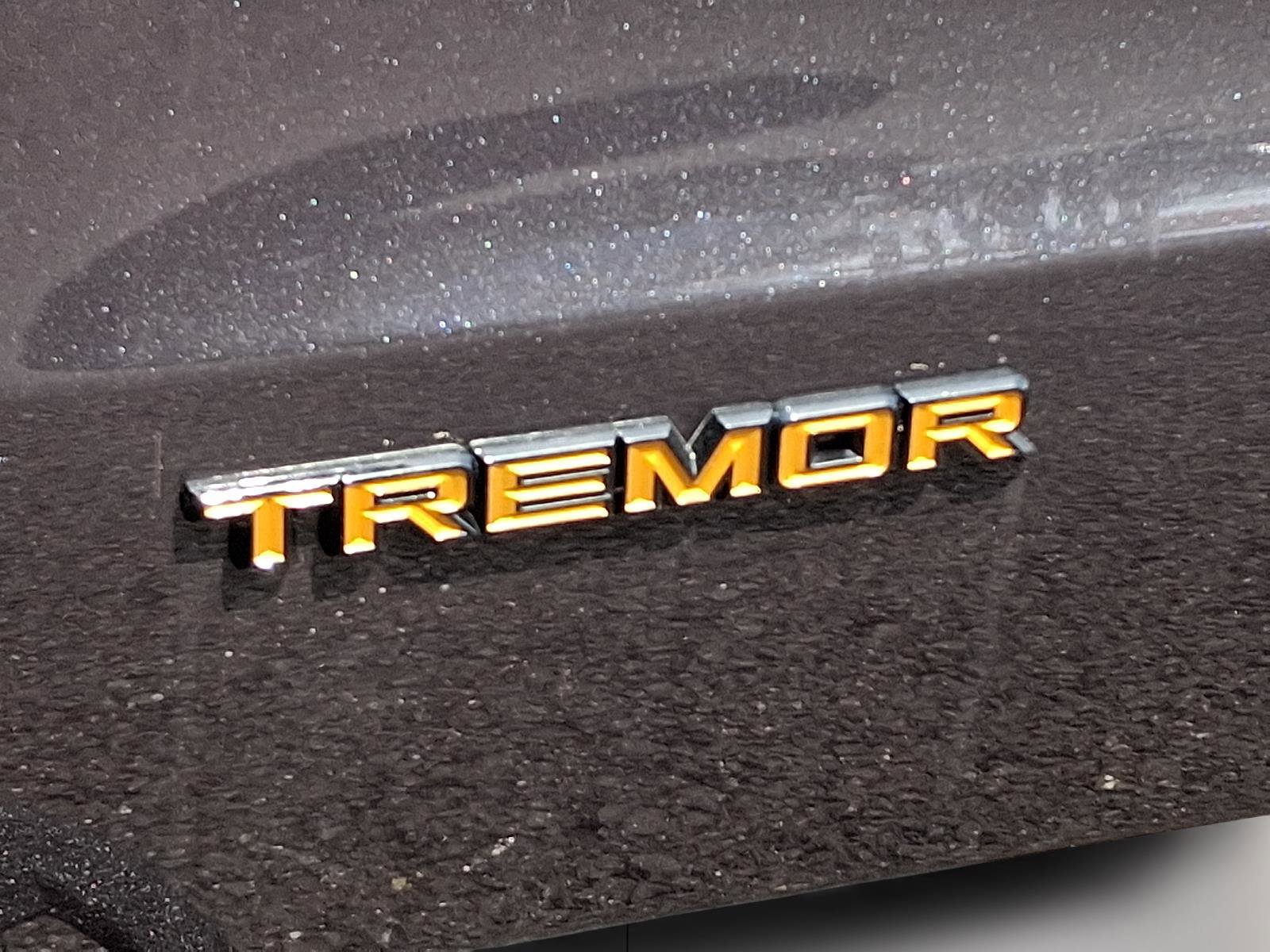 New 2025 Ford Expedition Tremor AWD/4WD image 35