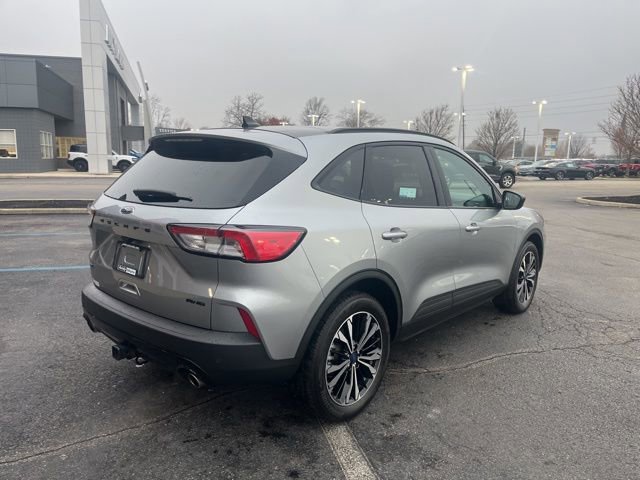 Certified 2022 Ford Escape SEL w/ SEL Stealth AWD Package image 6