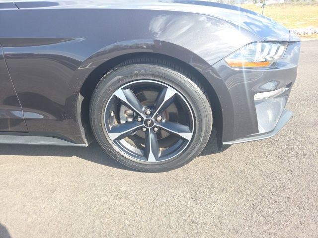 Used 2023 Ford Mustang Coupe w/ Equipment Group 101A image 6