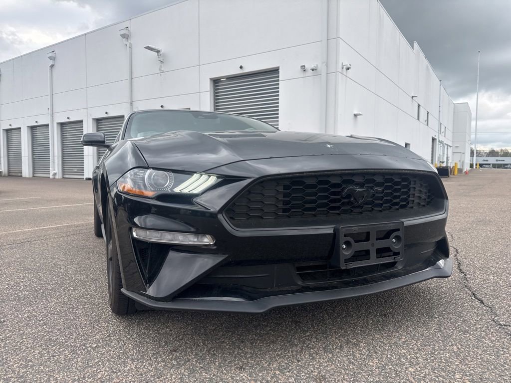 Used 2023 Ford Mustang Premium w/ Equipment Group 201A RWD image 3