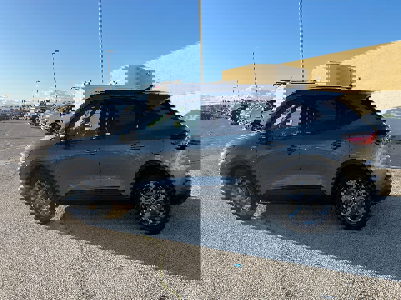 Used 2025 Ford Escape ST-Line w/ Equipment Group 301A image 5