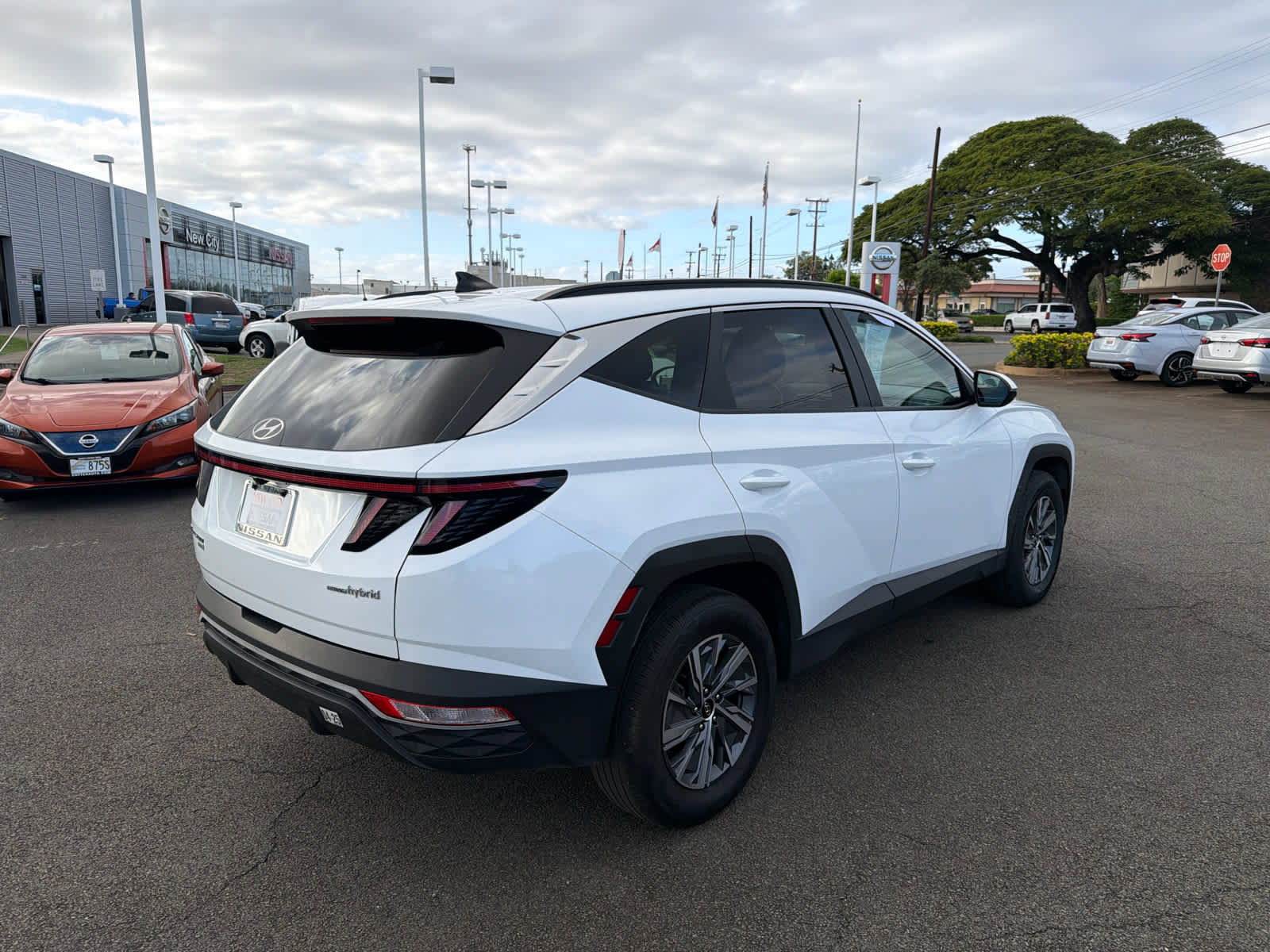 Used 2023 Hyundai Tucson Blue image 3