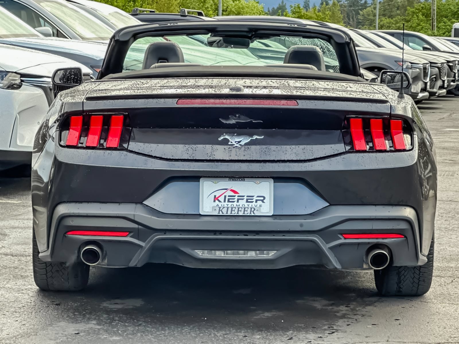 Used 2024 Ford Mustang Premium RWD image 4