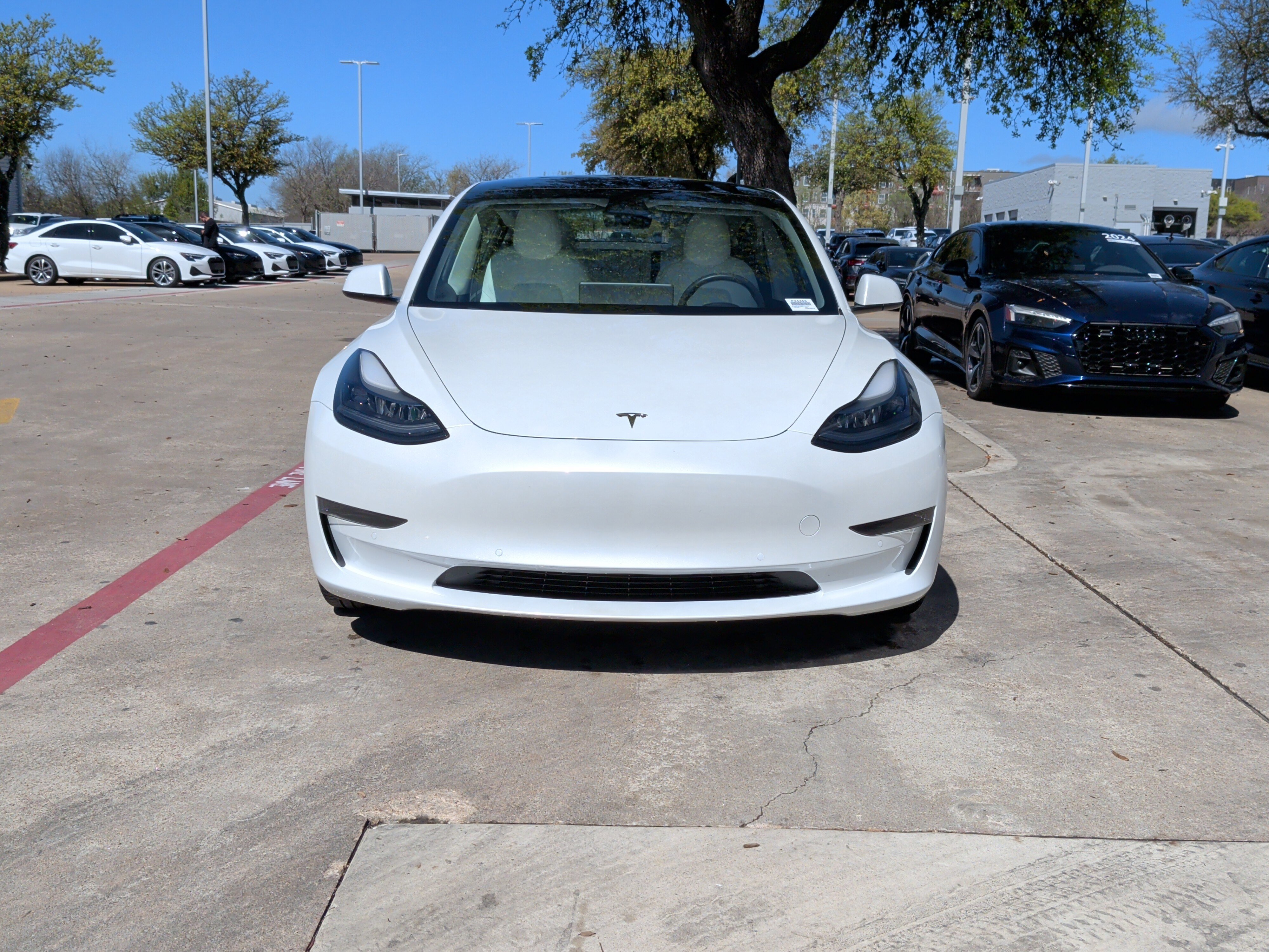 Used 2021 Tesla Model 3 Standard Range Plus image 3