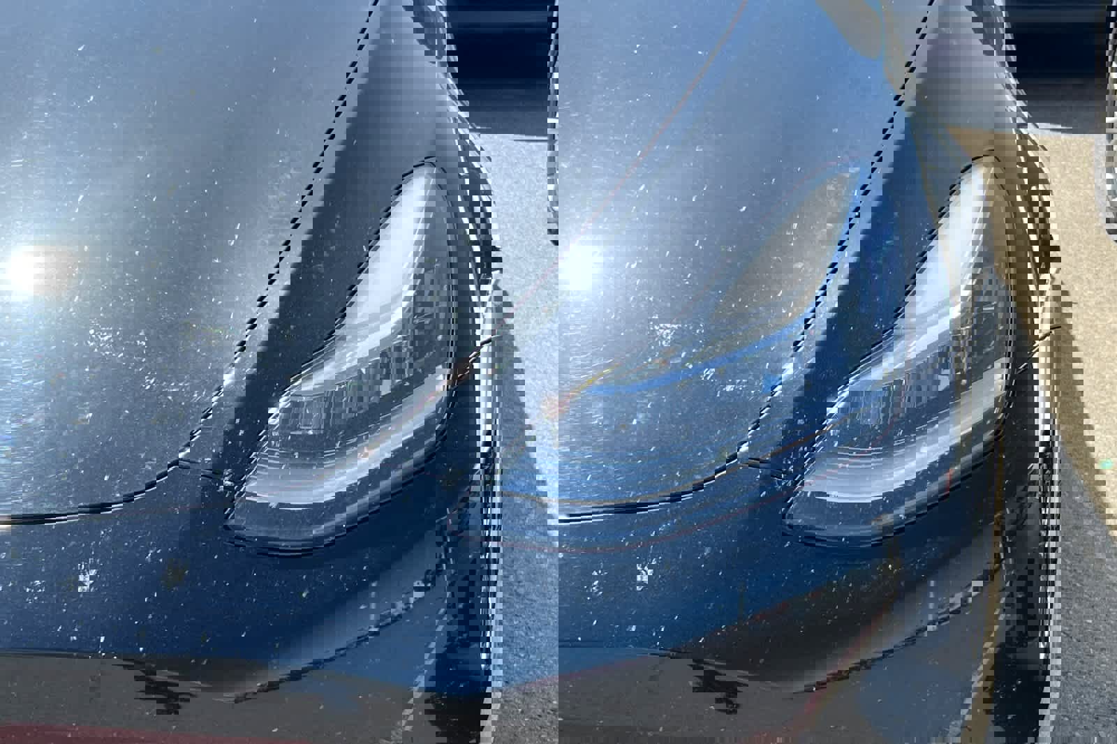 Used 2020 Tesla Model Y Performance image 11