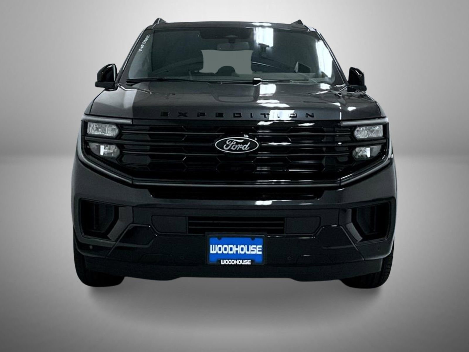 New 2025 Ford Expedition Platinum image 2