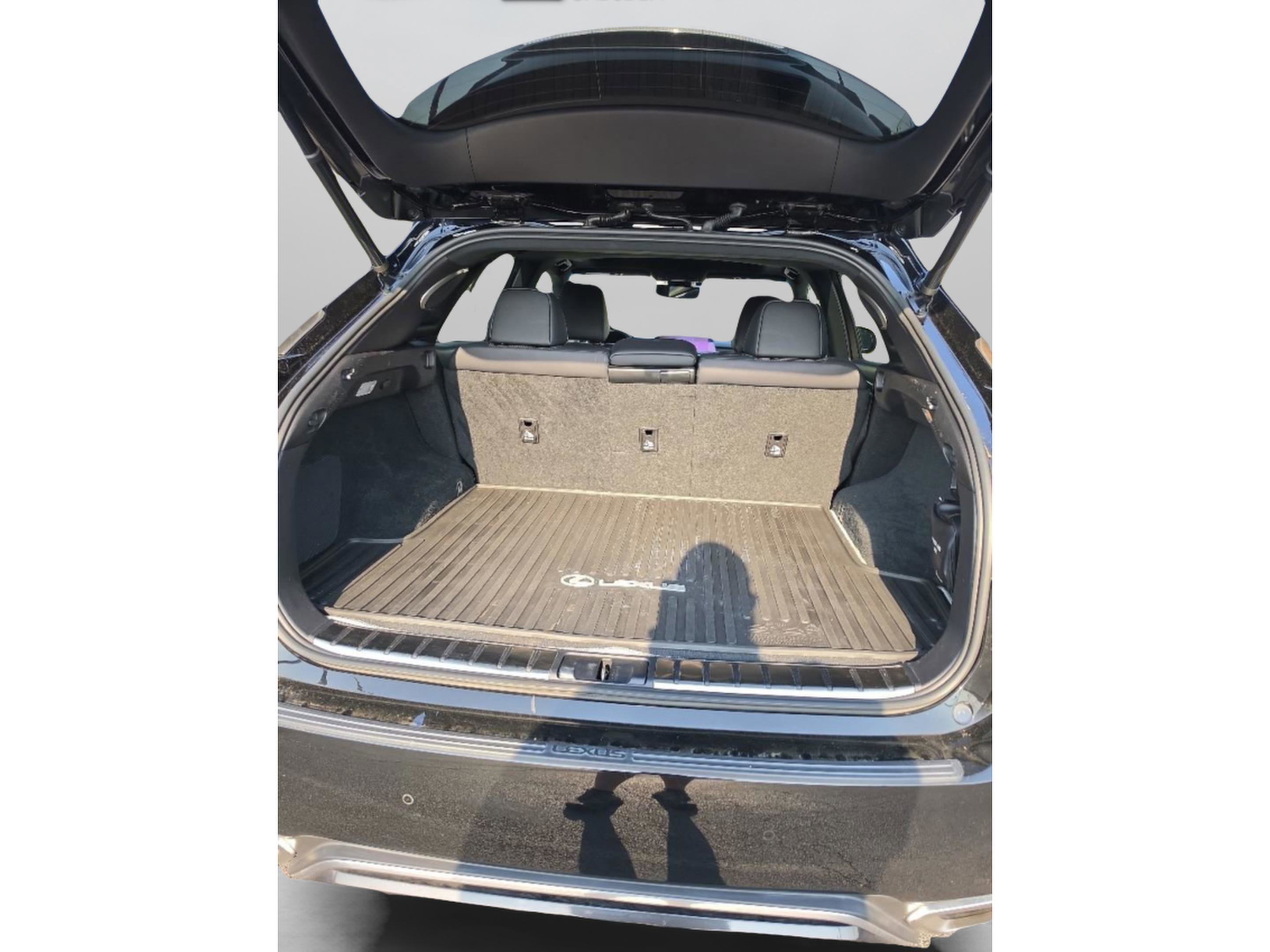 Used 2018 Lexus RX 350 F Sport w/ Cold Area Package AWD/4WD image 12