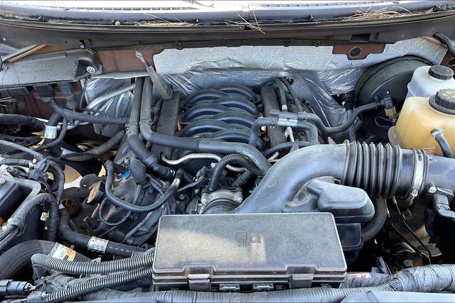 Used 2012 Ford F150 XLT w/ XLT Chrome Pkg image 19