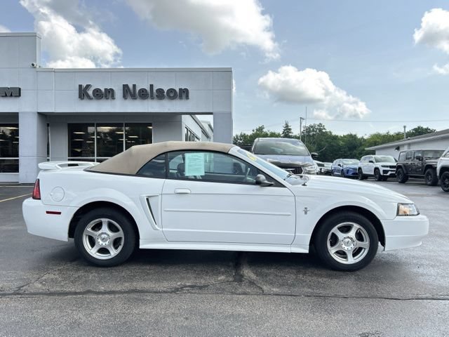 Used 2003 Ford Mustang Convertible RWD image 11