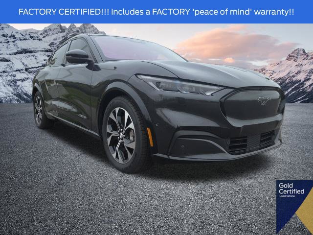 Used 2022 Ford Mustang Mach-E Premium AWD/4WD image 1
