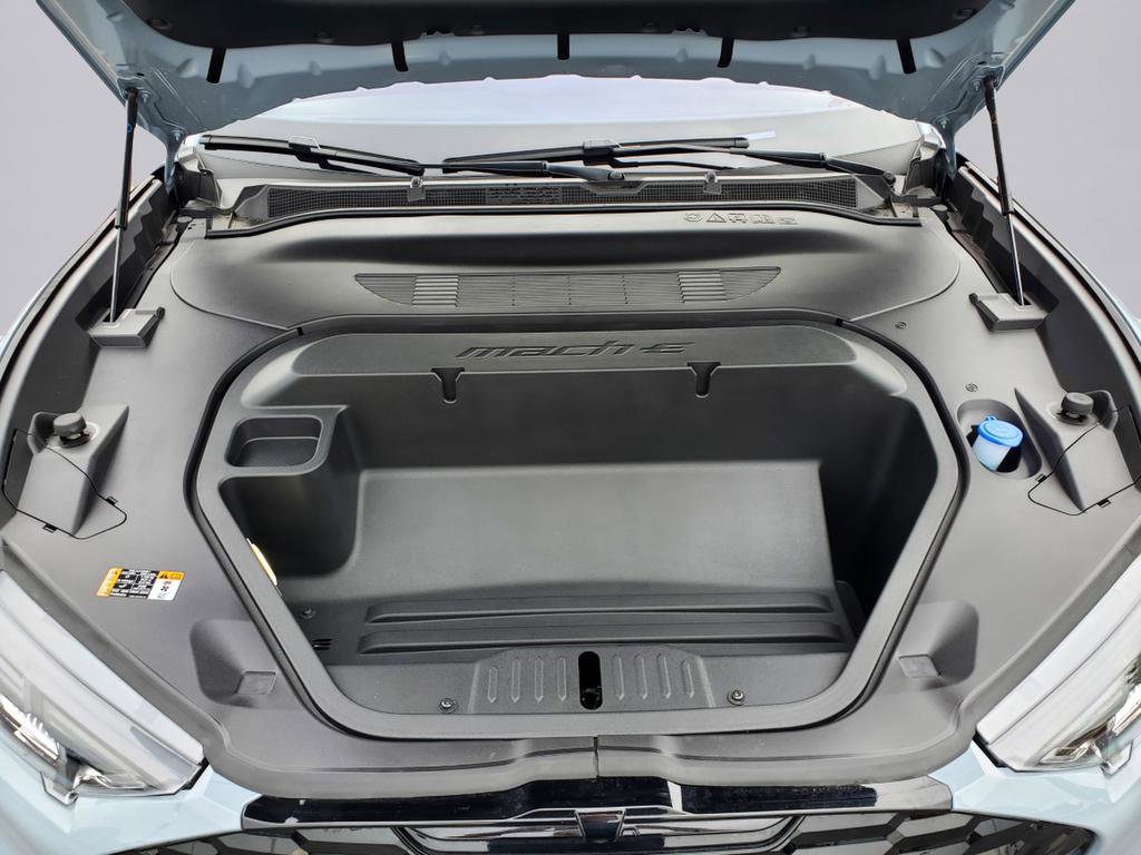 New 2025 Ford Mustang Mach-E GT image 11