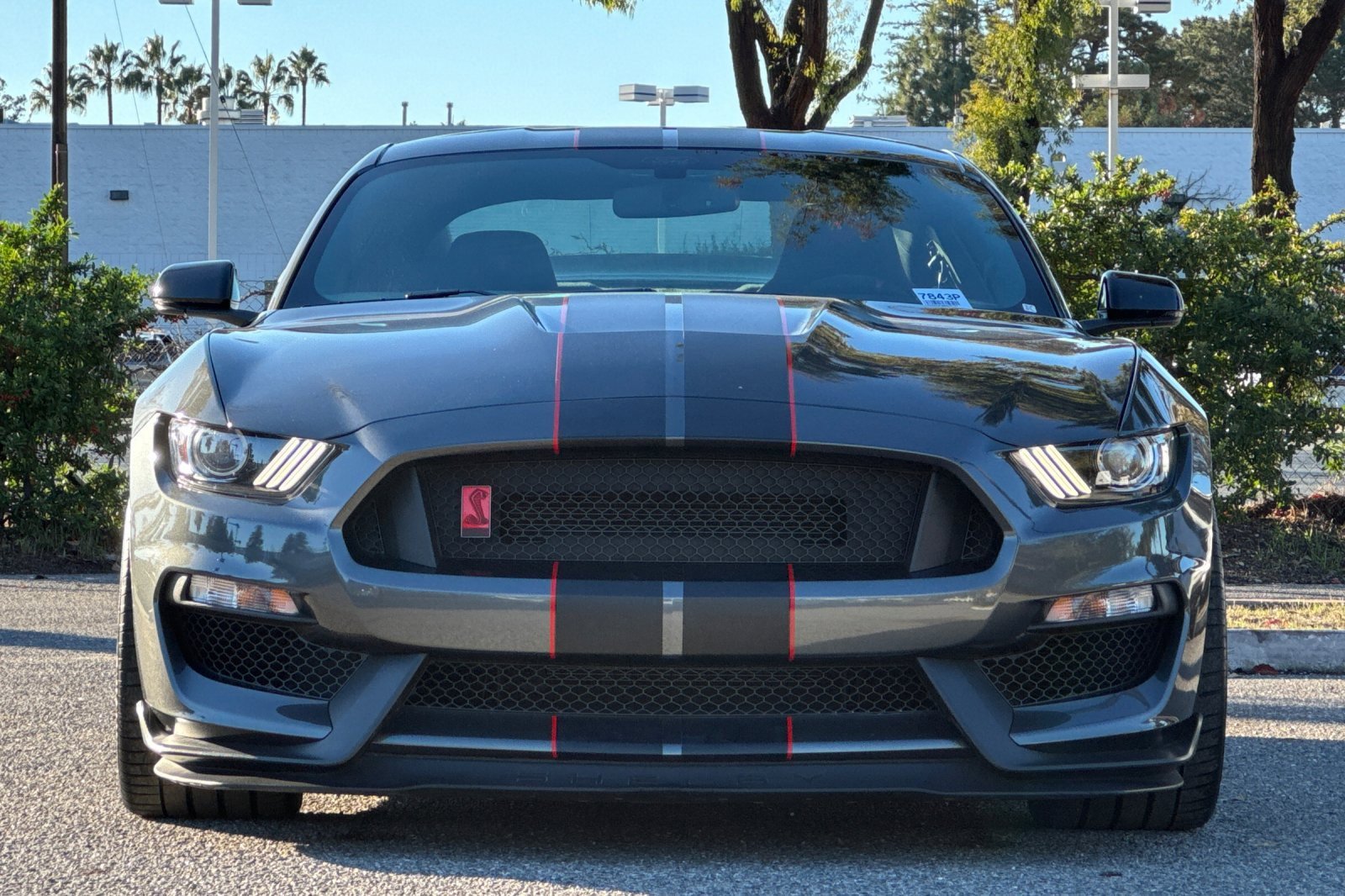 Used 2016 Ford Mustang Shelby GT350R w/ GT350R Equipment Group 920A image 9