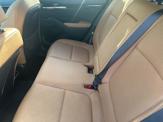 Used 2025 Kia Seltos EX w/ EX Sunroof Package AWD/4WD image 9