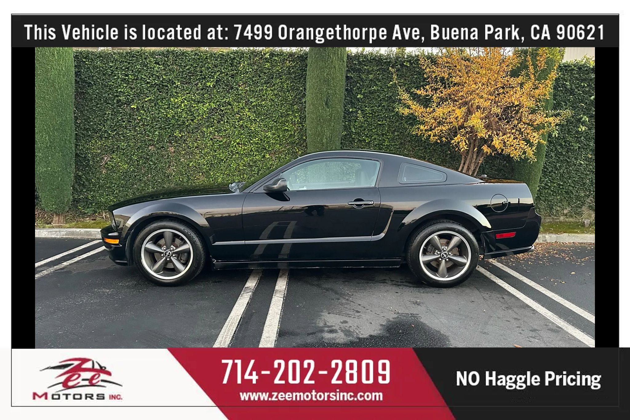 Used 2009 Ford Mustang GT Premium image 10