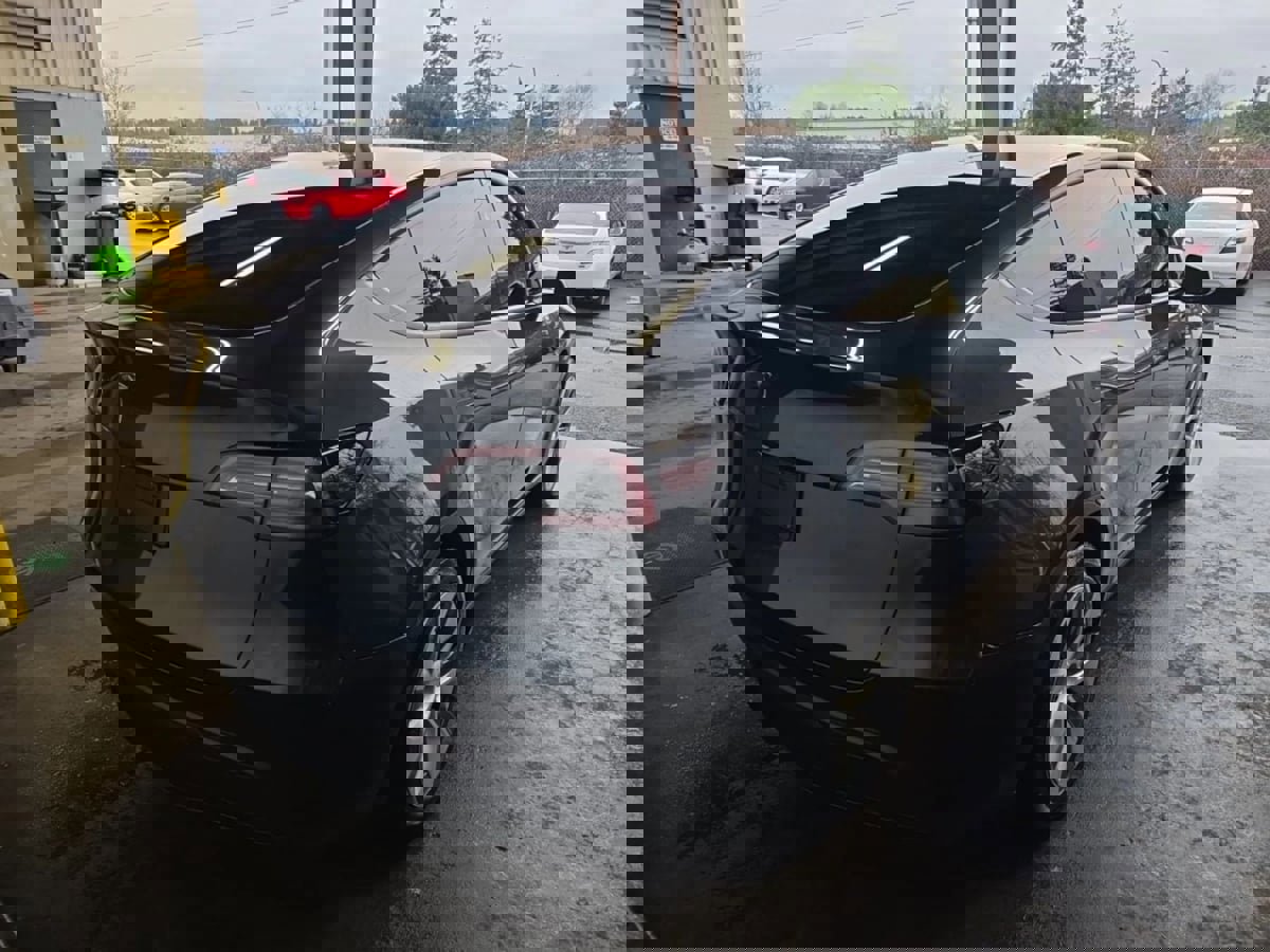 Used 2024 Tesla Model Y Long Range image 3