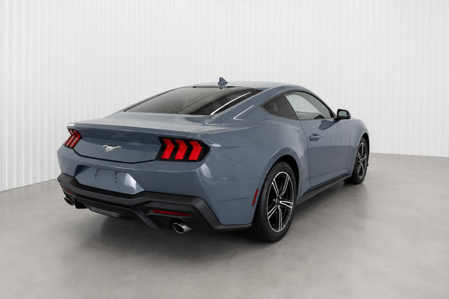Used 2025 Ford Mustang Coupe RWD image 4