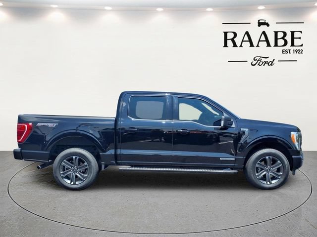 Used 2023 Ford F150 XLT w/ Equipment Group 302A High AWD/4WD image 8