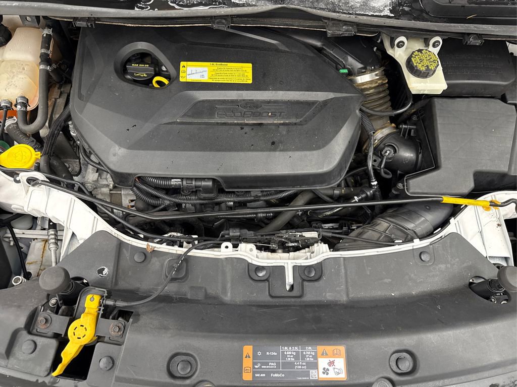 Used 2014 Ford Escape SE w/ Equipment Group 201A image 13